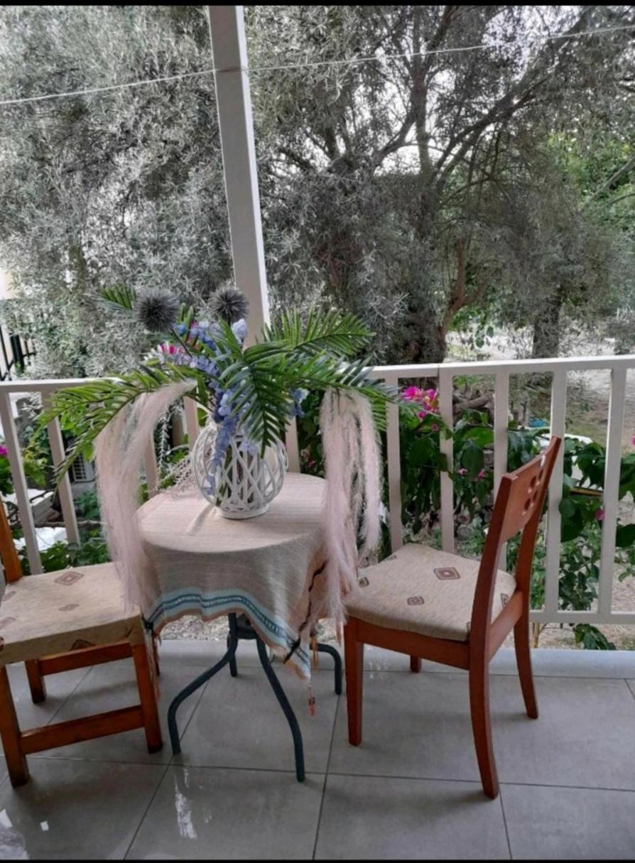 Ενοικιαζόμενο Διαμέρισμα Ligia Eksteriør billede
